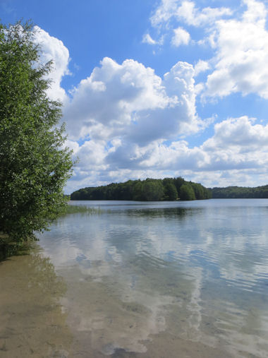 Großer Werl am Liepnitzsee