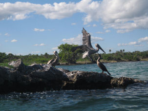 Punta Soliman Bay Mexiko