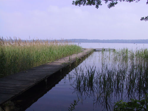 Jezioro Morzycko (Mohriner See)