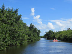 Kanu Everglades