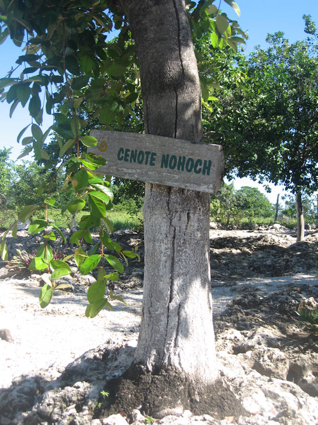 Cenote Mexiko